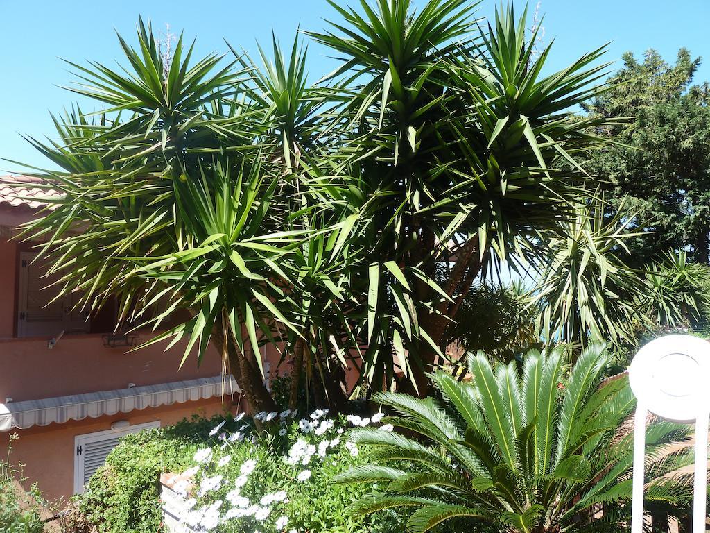 B&B Villa Di Giorgi Cefalù Exteriér fotografie